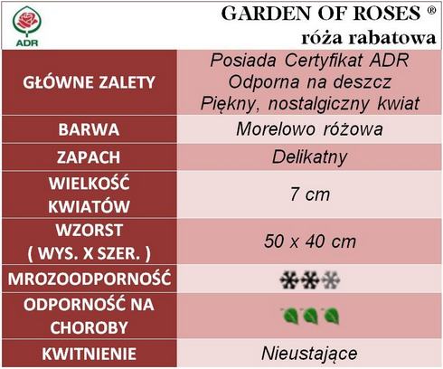 Garden Of Roses róze rabatowe gł. zal.